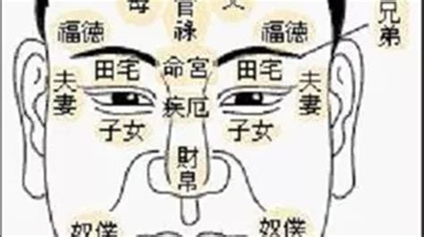 行眼運|金自在相面秘訣——眼睛篇